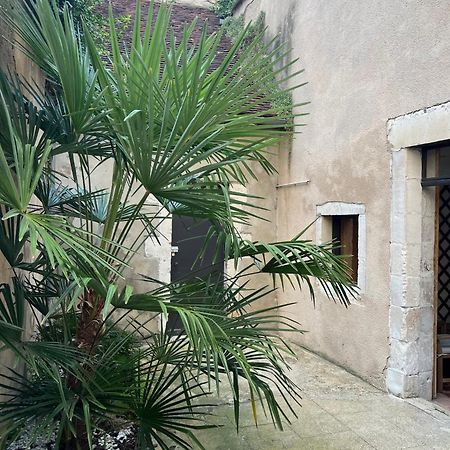 Cosy Appartement Hyper Centre Ville Avec Cour + Patio Auxerre Εξωτερικό φωτογραφία