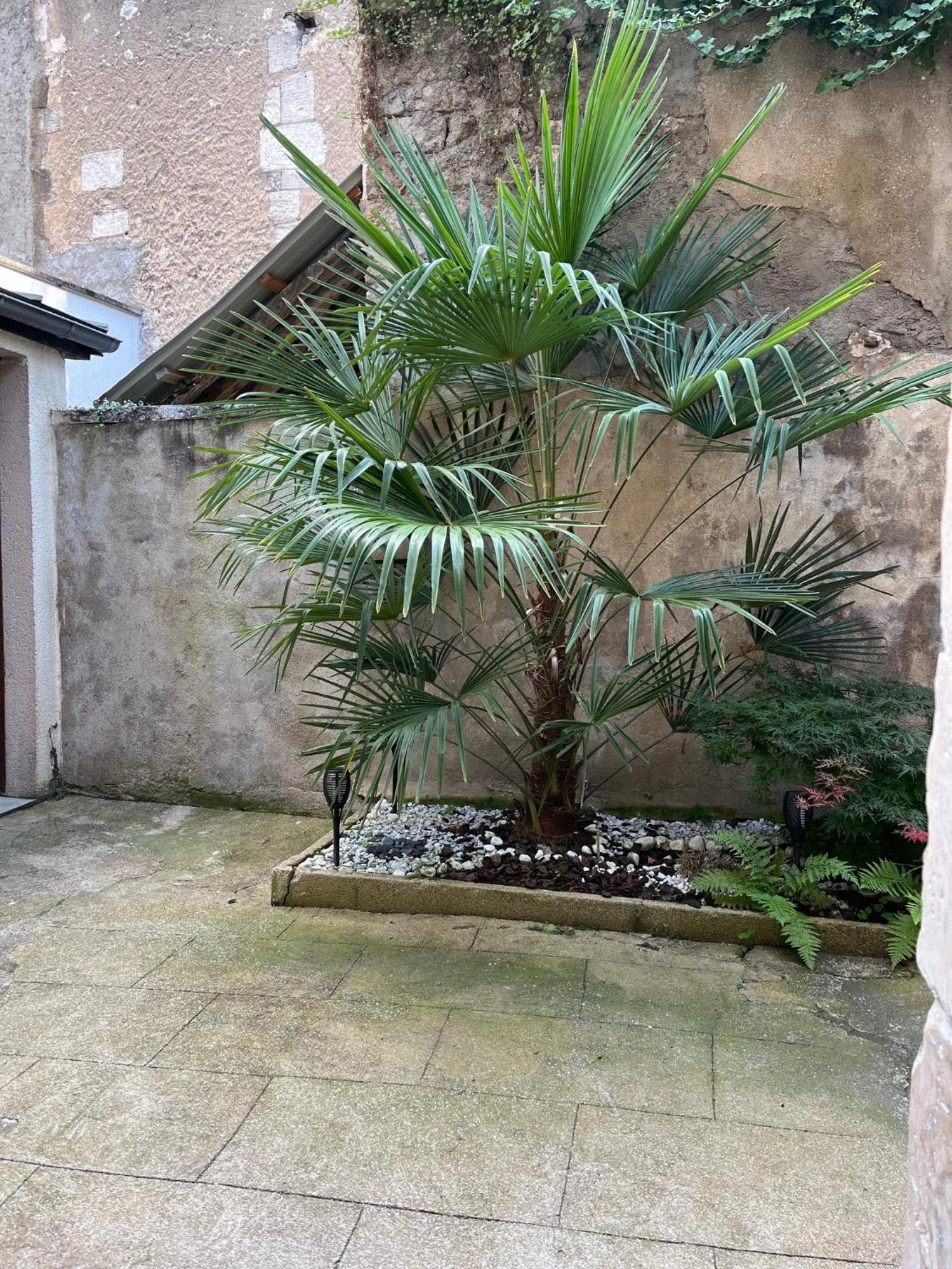 Cosy Appartement Hyper Centre Ville Avec Cour + Patio Auxerre Εξωτερικό φωτογραφία